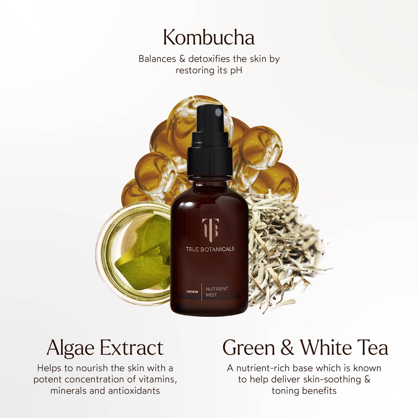 🍵🍃Renew Nutrient Face Mist w/ Fermented Black Tea